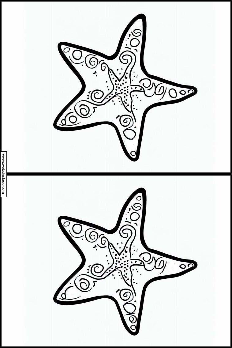 Estrelas-do-mar - Animais 6