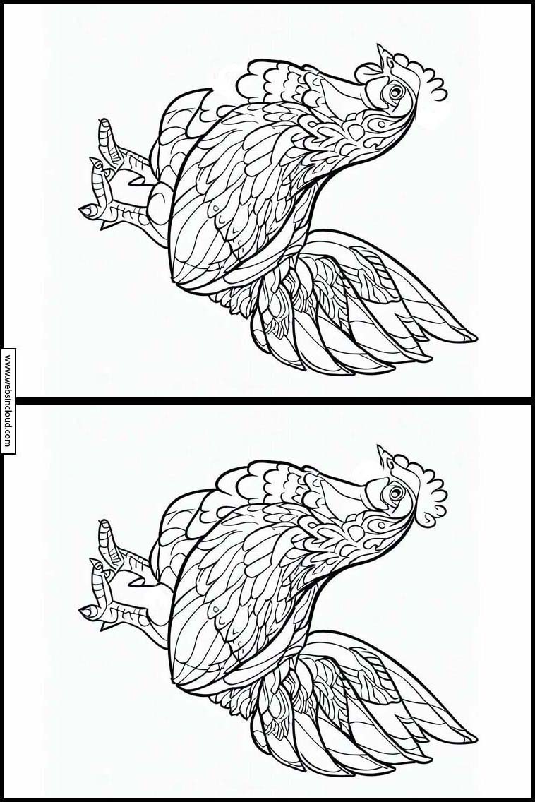 Poules - Animaux 2