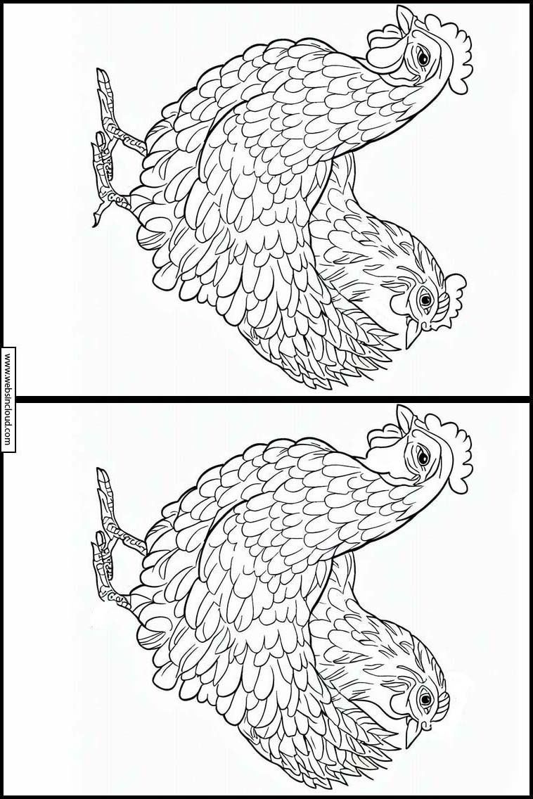 Kippen - Dieren 4