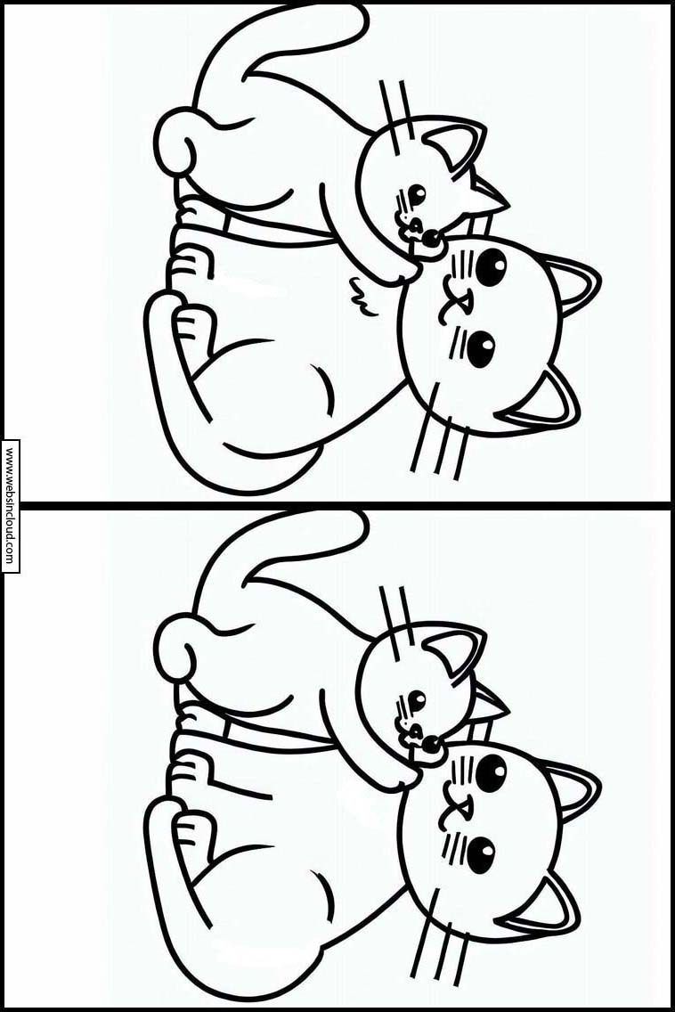 Gatos - Animais 5