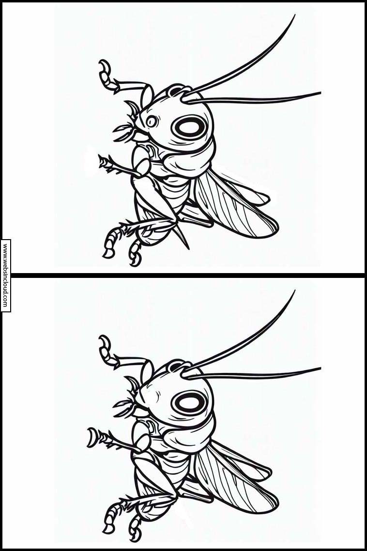 Crickets - Animals 3