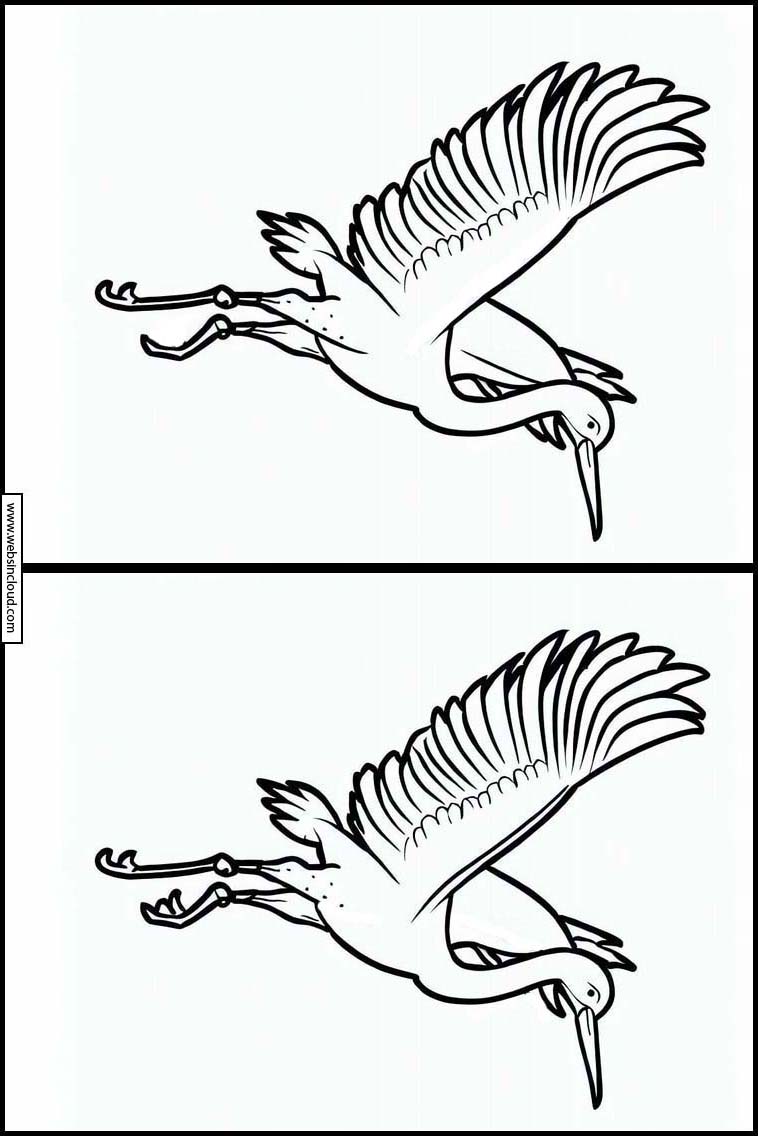 Cranes - Animals 4
