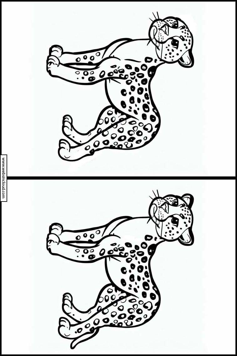 Geparden - Tiere 2