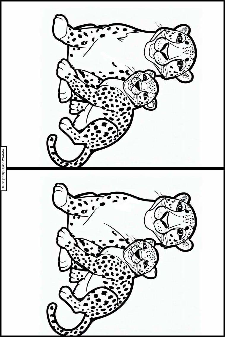 Gepard - Dyr 3