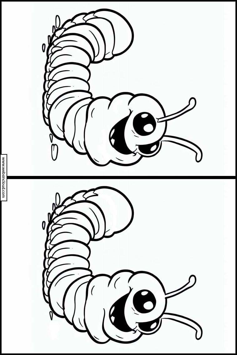 Würmer - Tiere 1