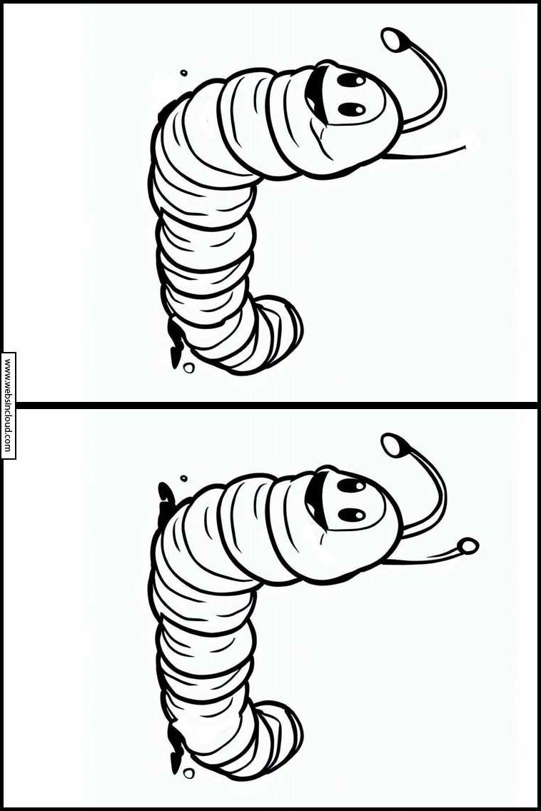 Würmer - Tiere 2
