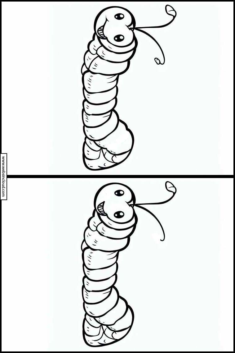 Würmer - Tiere 3