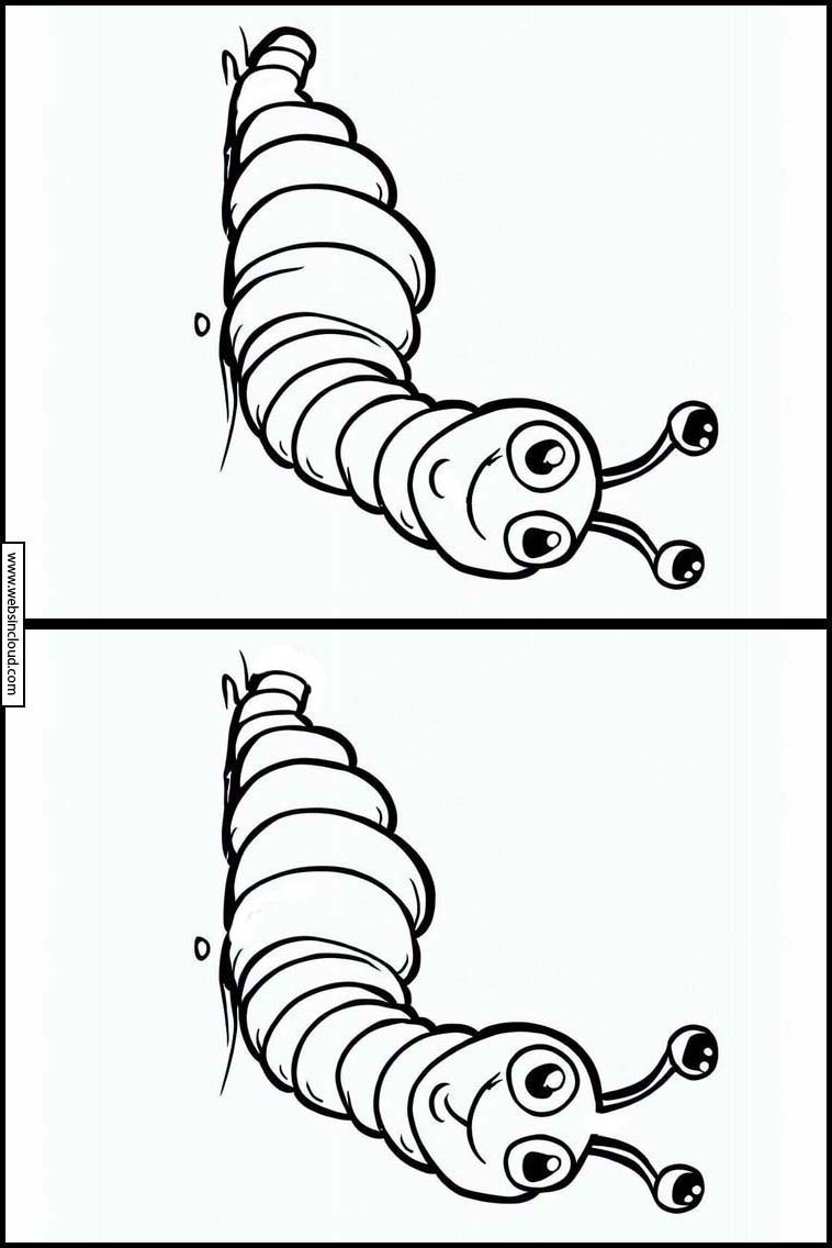 Würmer - Tiere 4