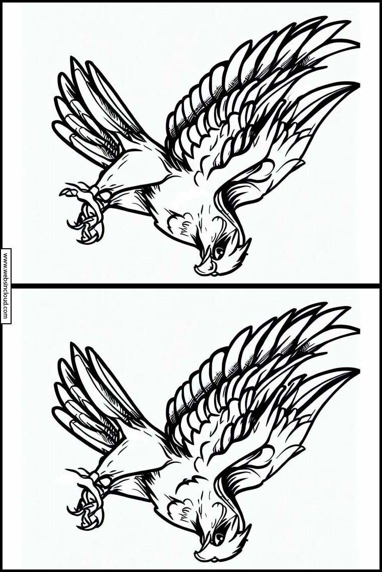 Halcones - Animales 1