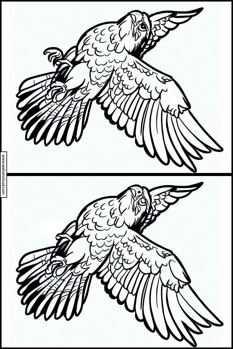 Falken - Tiere 2