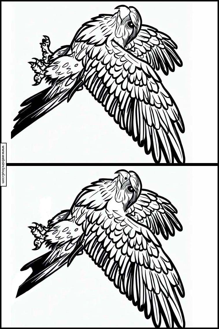Falken - Tiere 3