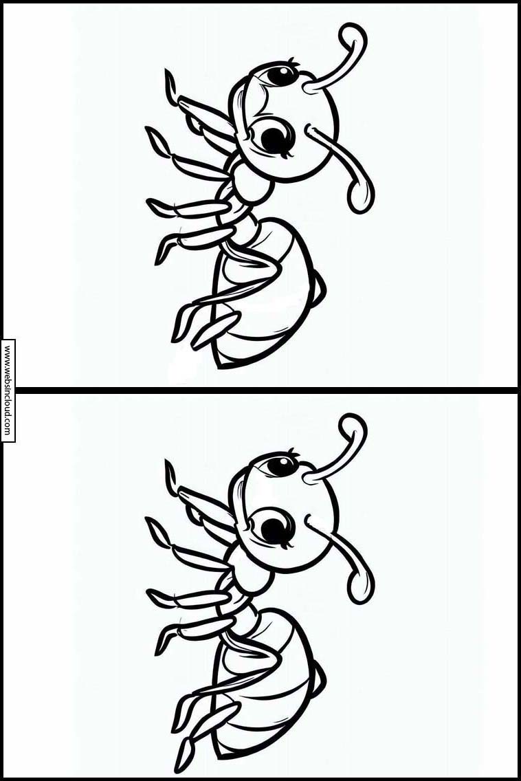 Formigas - Animais 1