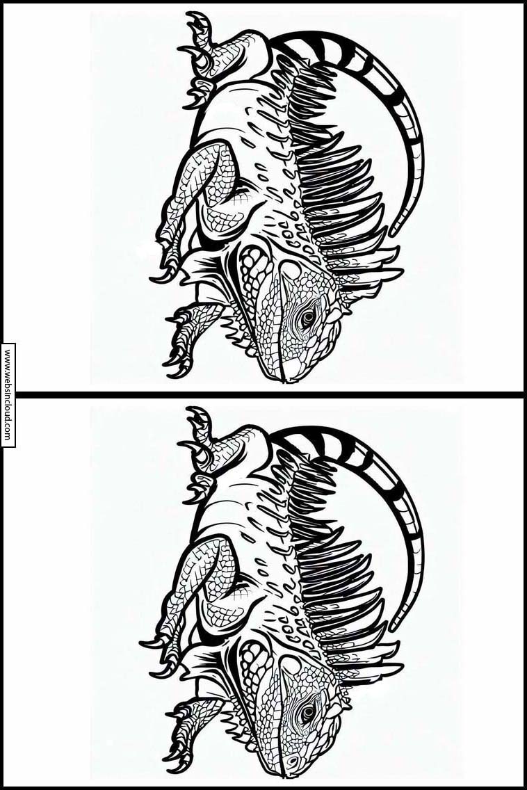 Leguanen - Dieren 1