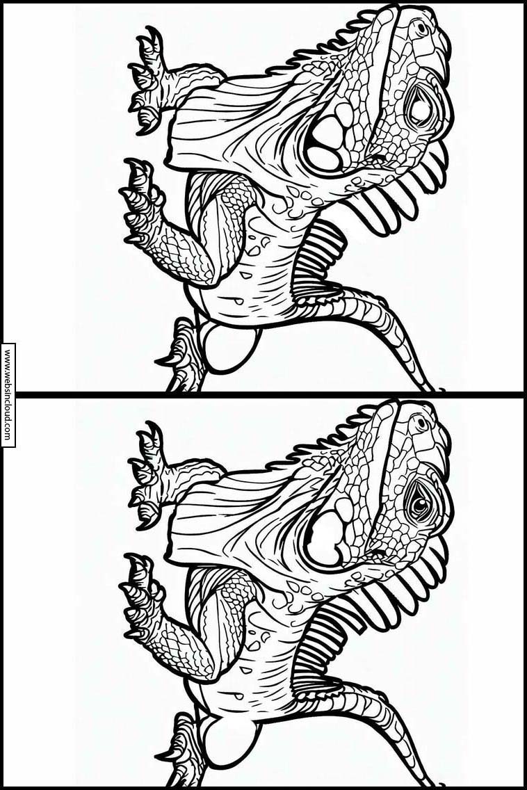 Leguanen - Dieren 2