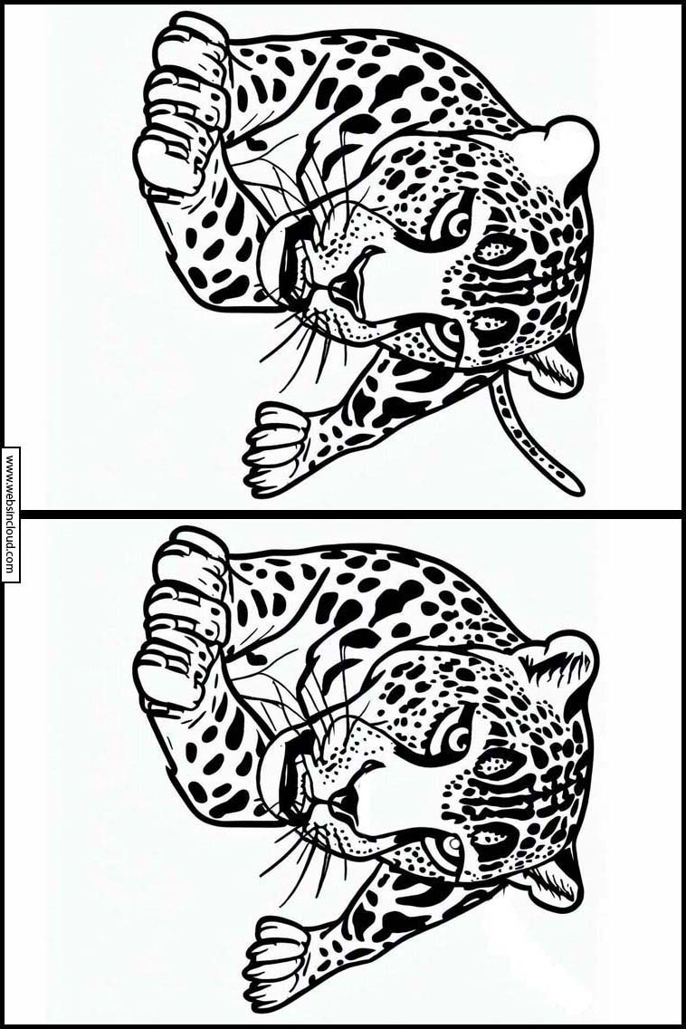 ジャガー - 動物 5