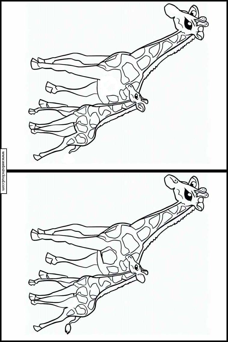 Giraffen - Tiere 4