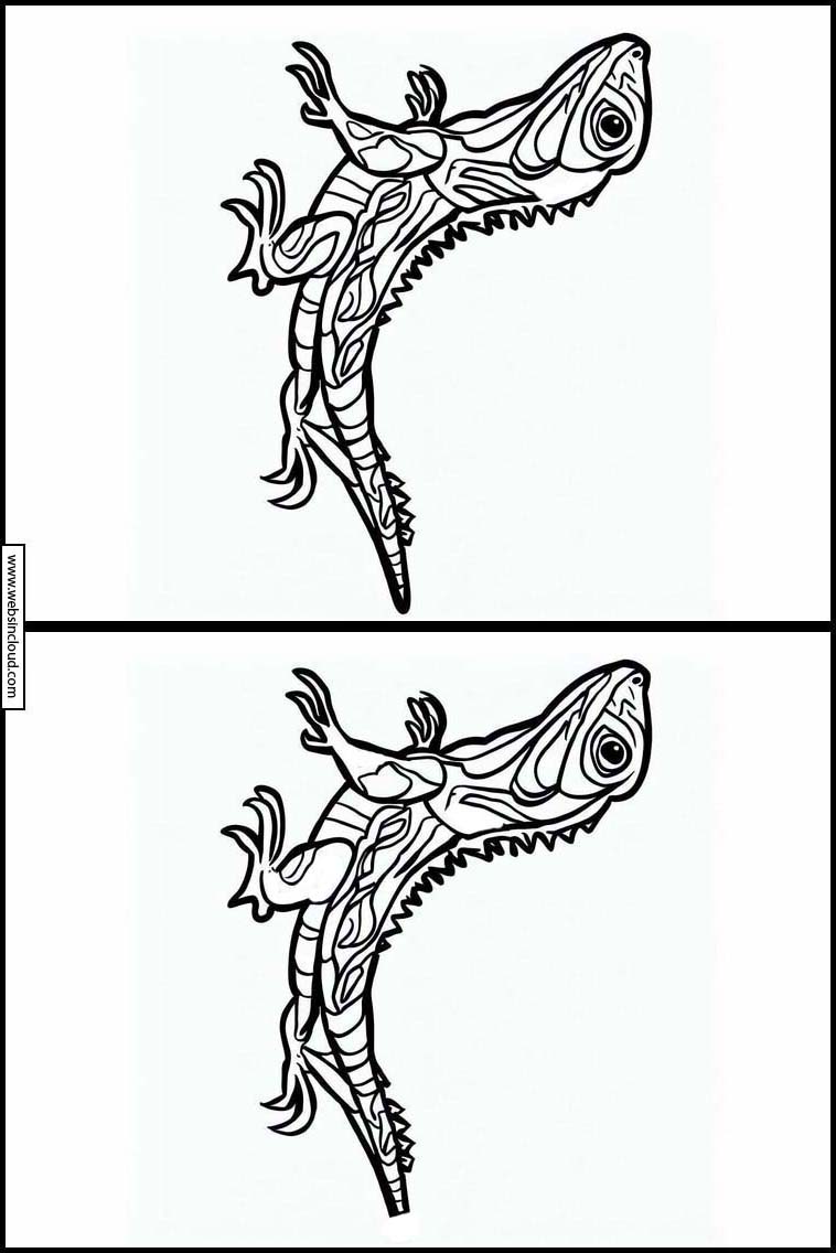 Lizards - Animals 2