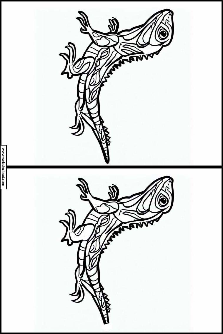 Lucertole - Animali 2