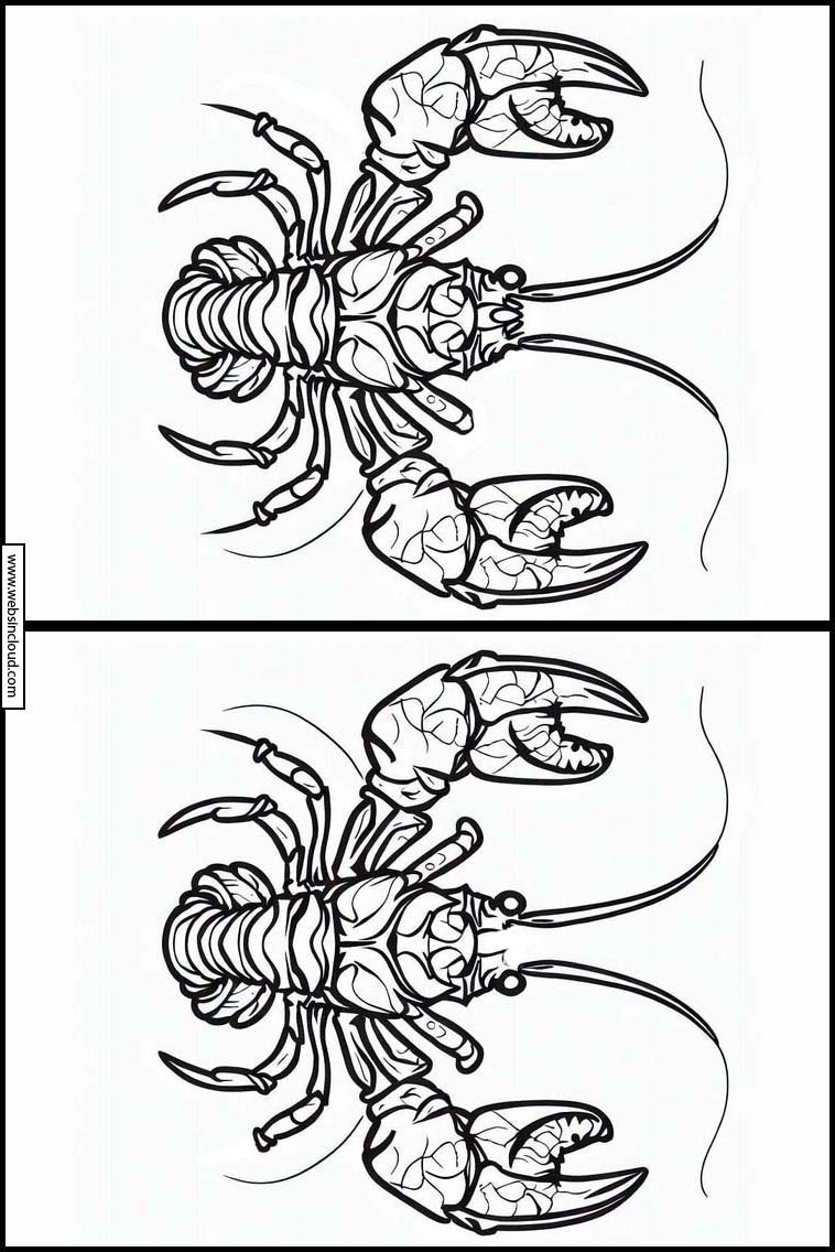 Homards - Animaux 3