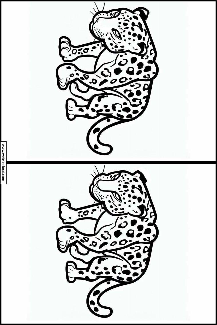 Leopardit - Eläimet 2