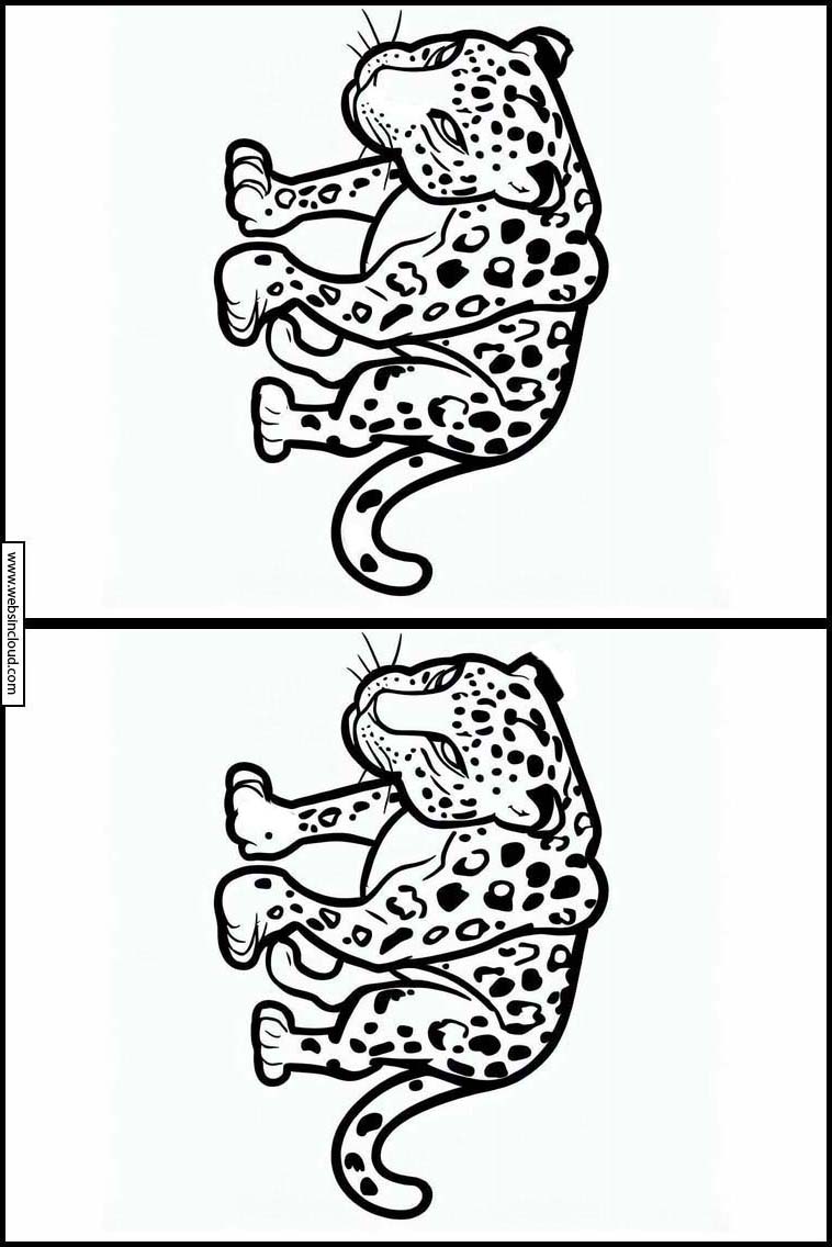 Leopardos - Animales 2