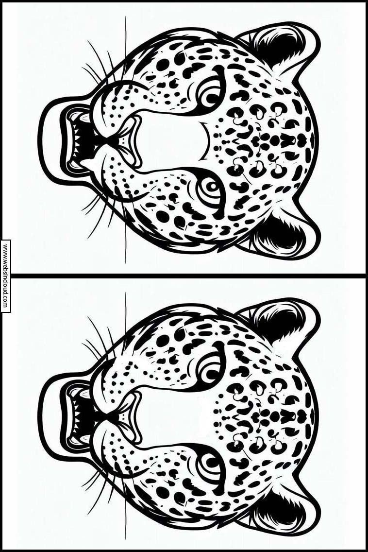 Leopard - Dyr 3