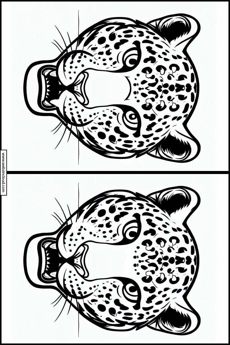 Leopards - Animals 3