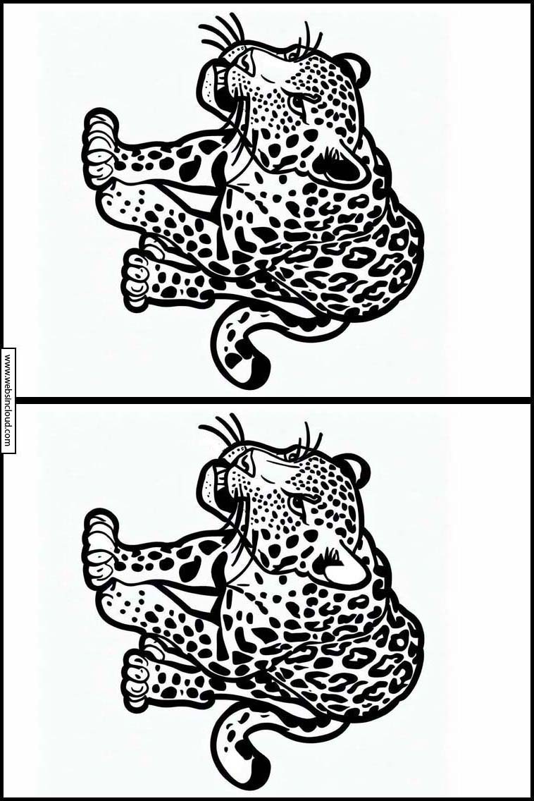 Luipaarden - Dieren 4