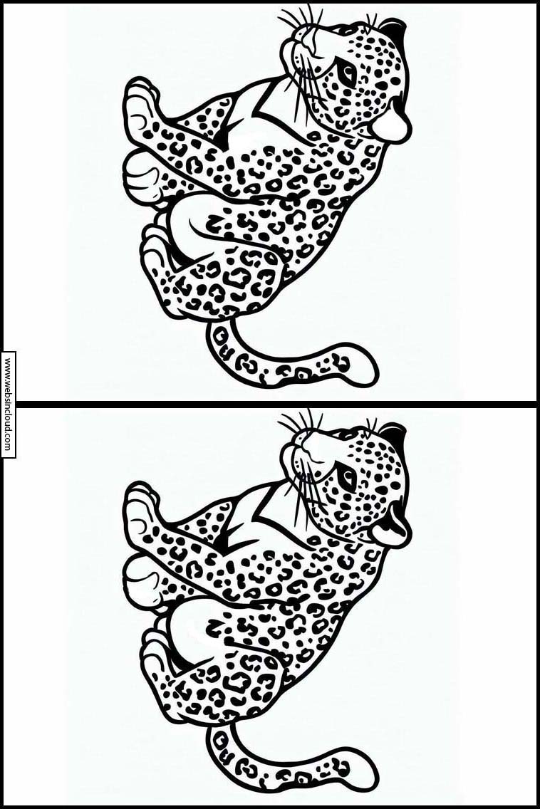 Leoparder - Djur 5