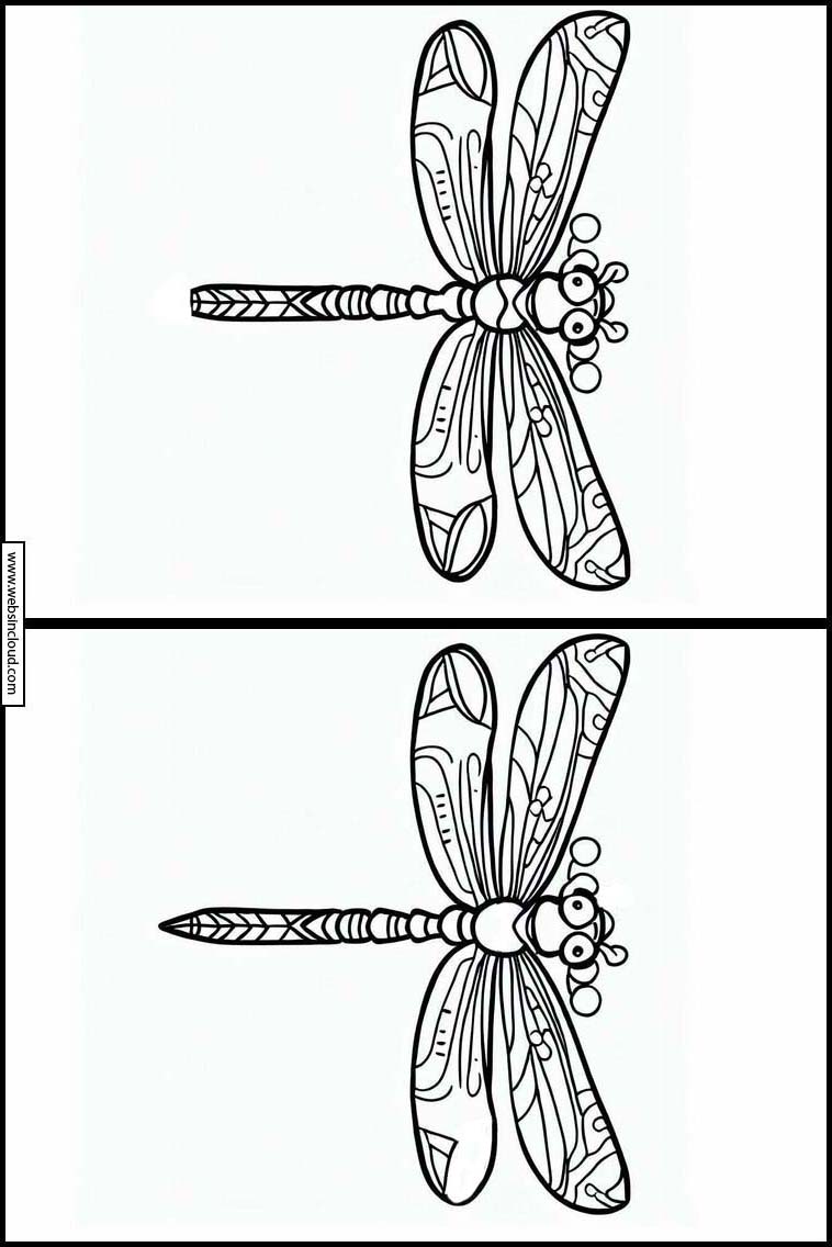 Libellen - Dieren 1