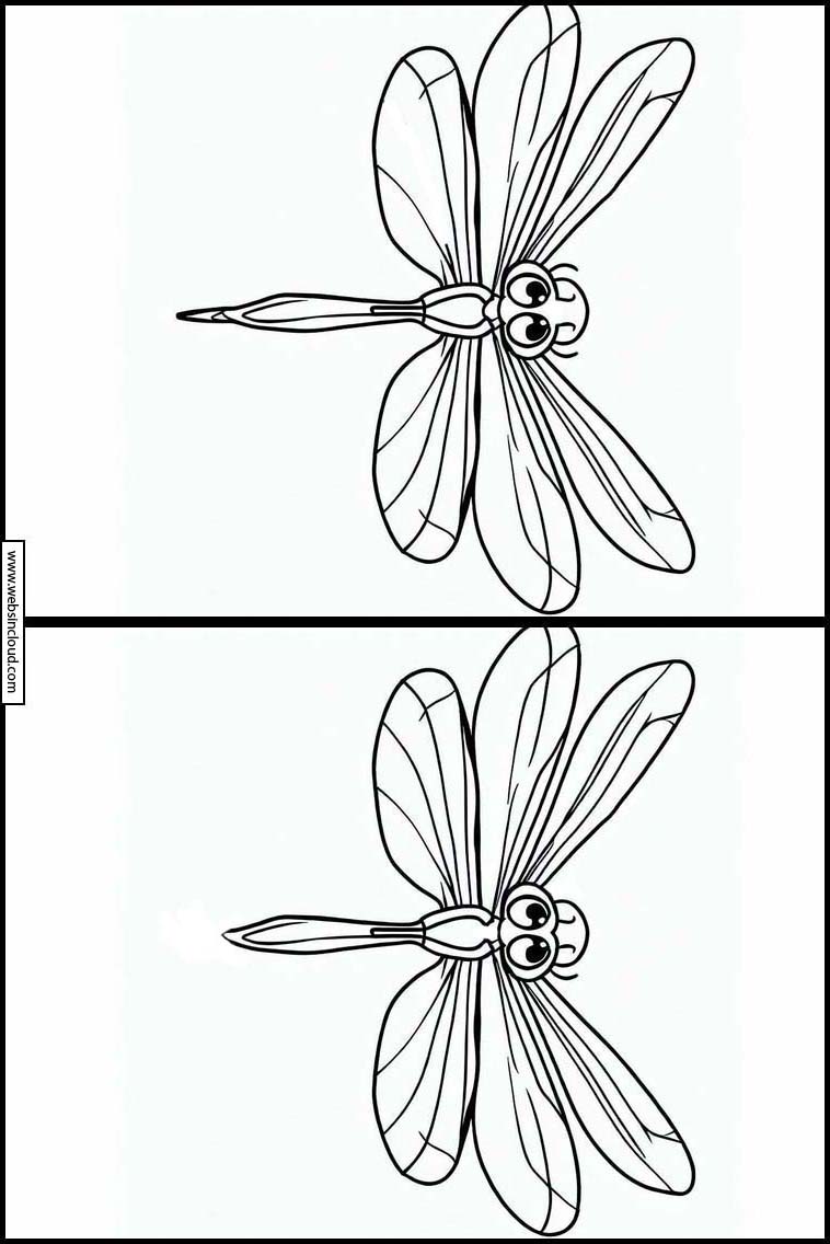 Dragonflies - Animals 3