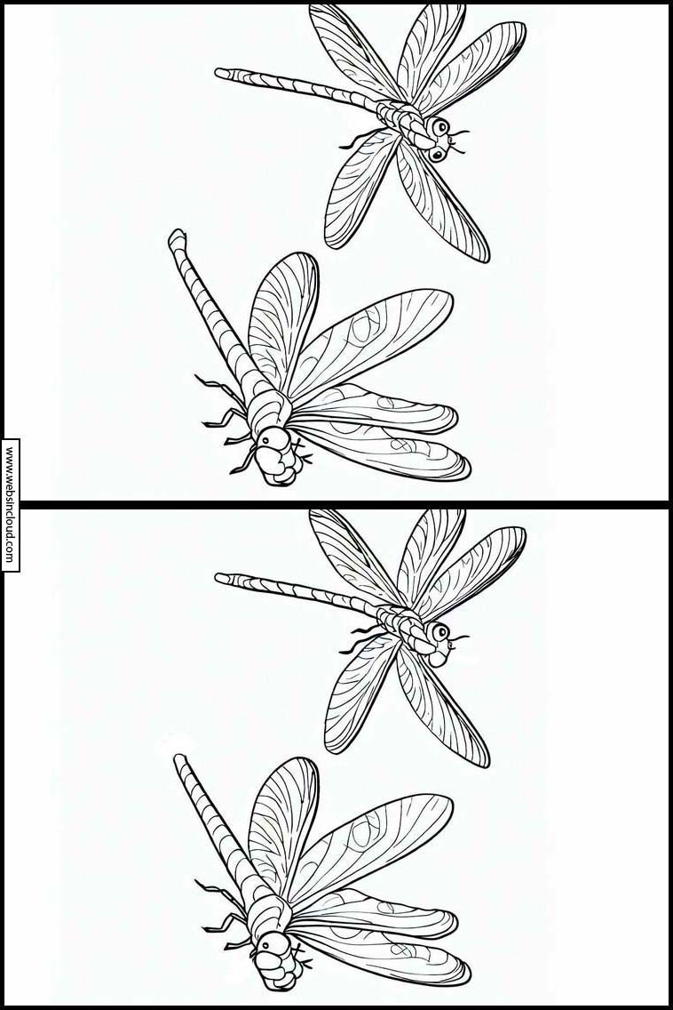 Dragonflies - Animals 6