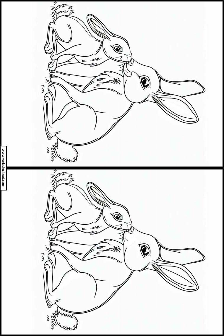 Hare - Dyr 2