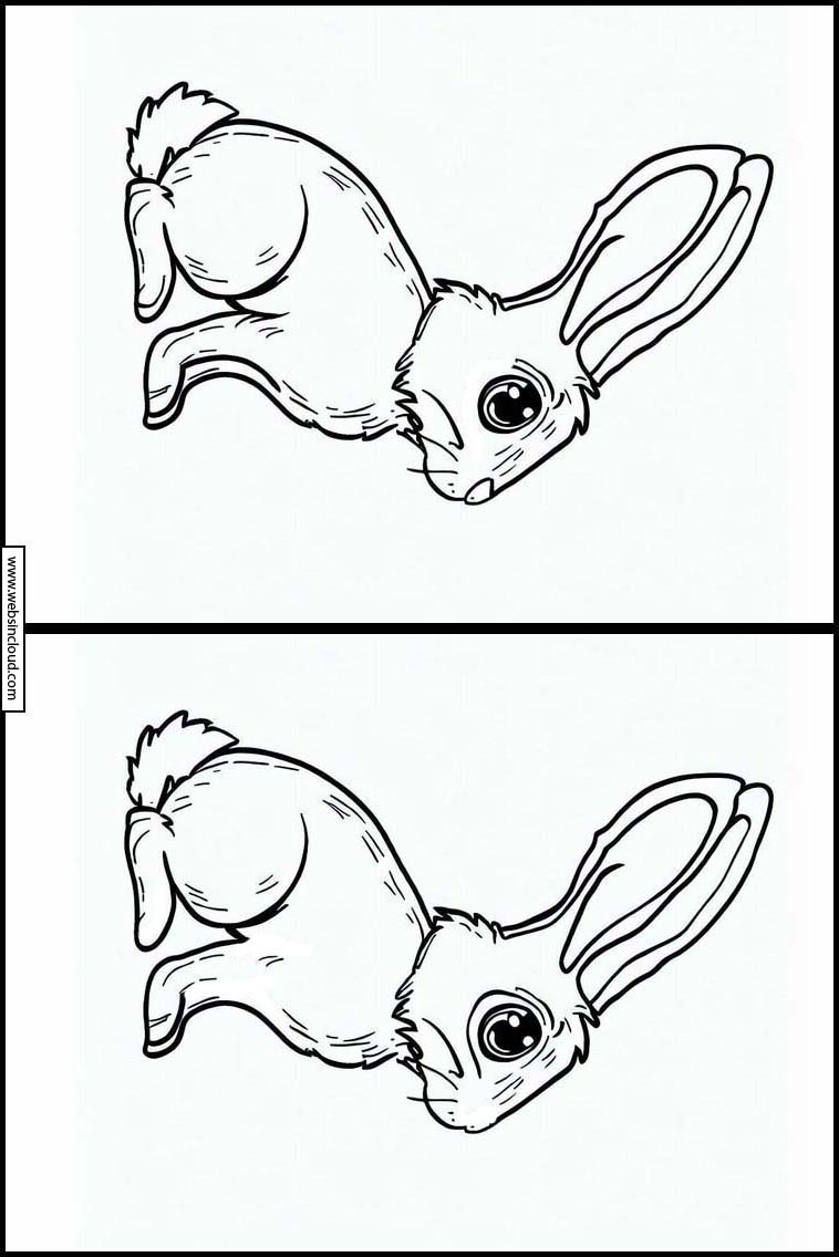 Hare - Dyr 3