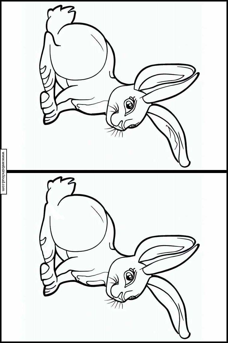 Hare - Dyr 5
