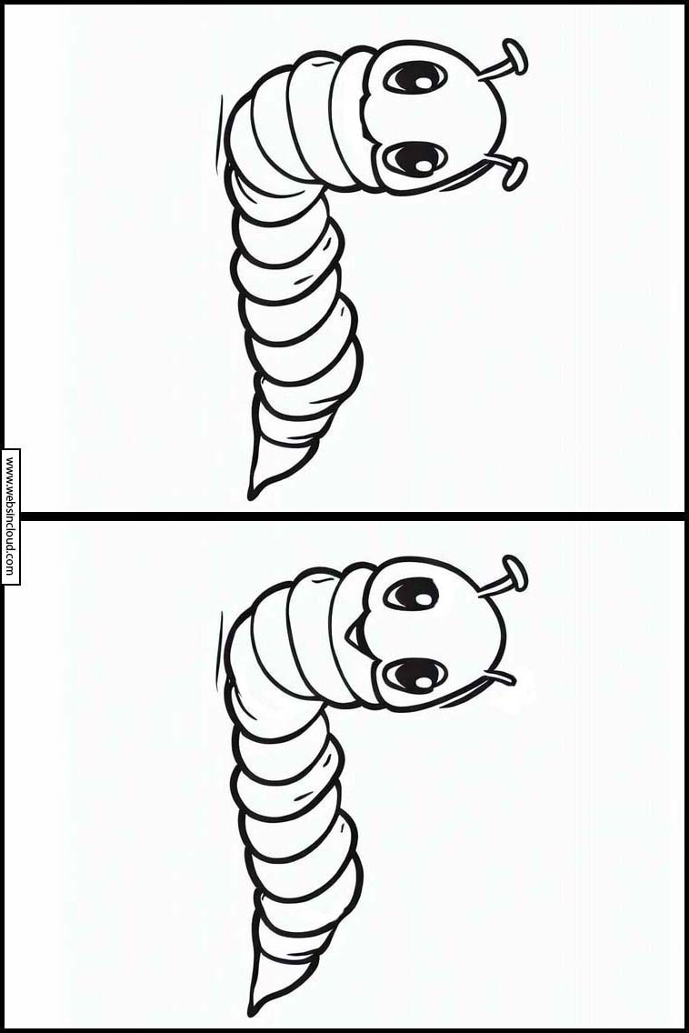 Earthworms - Animals 1