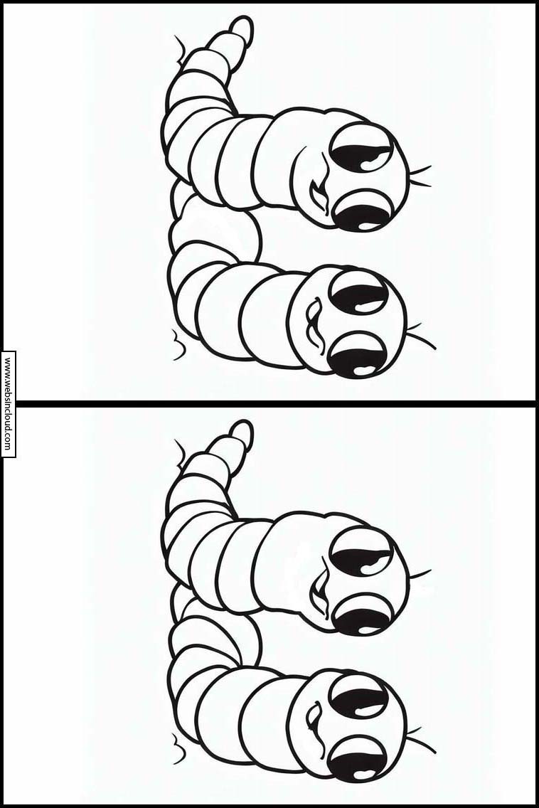 Regenwormen - Dieren 3