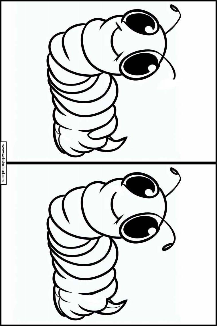 Regenwormen - Dieren 4