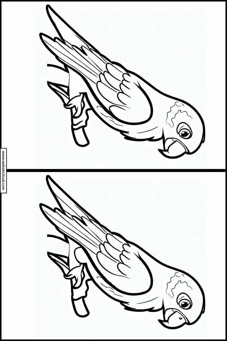Papegøjer - Dyr 2