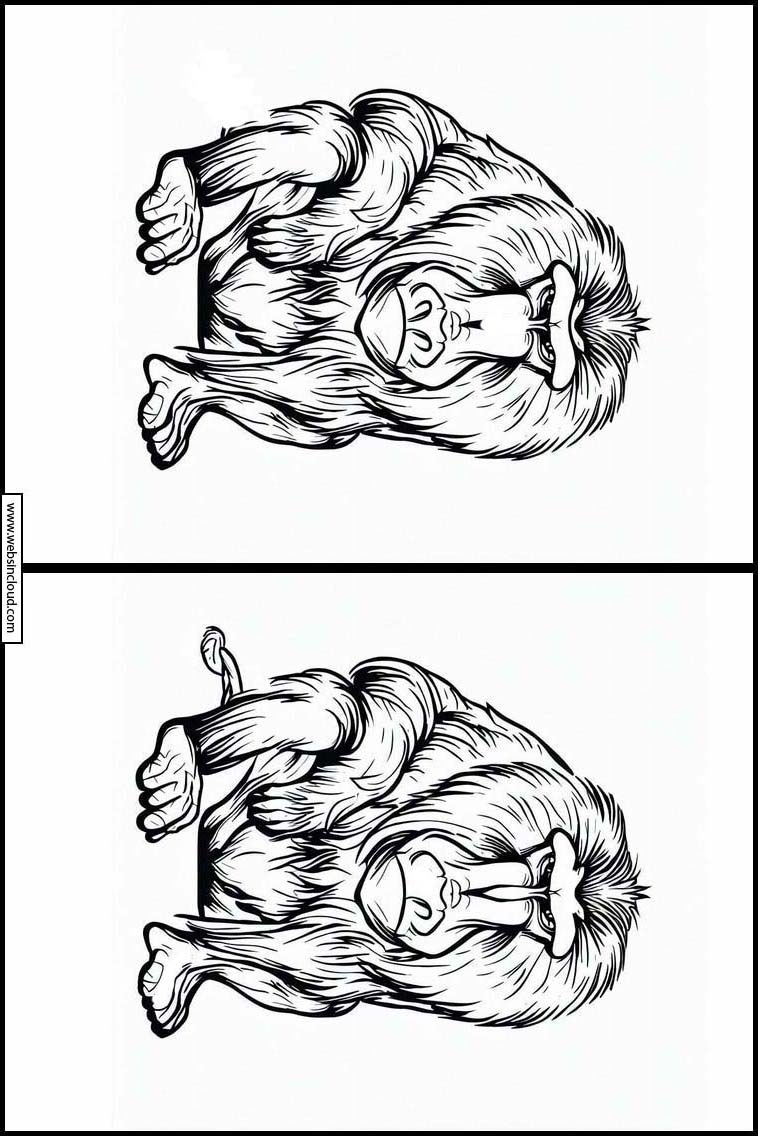 Mandrill - Dyr 4