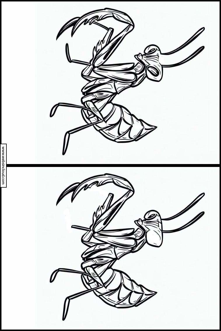Mantis Religiosa - Animales 2