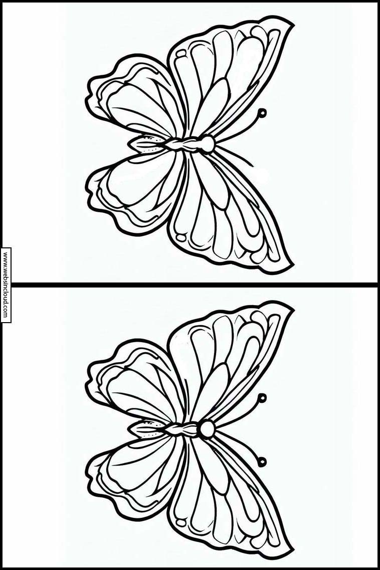 Butterflies - Animals 6