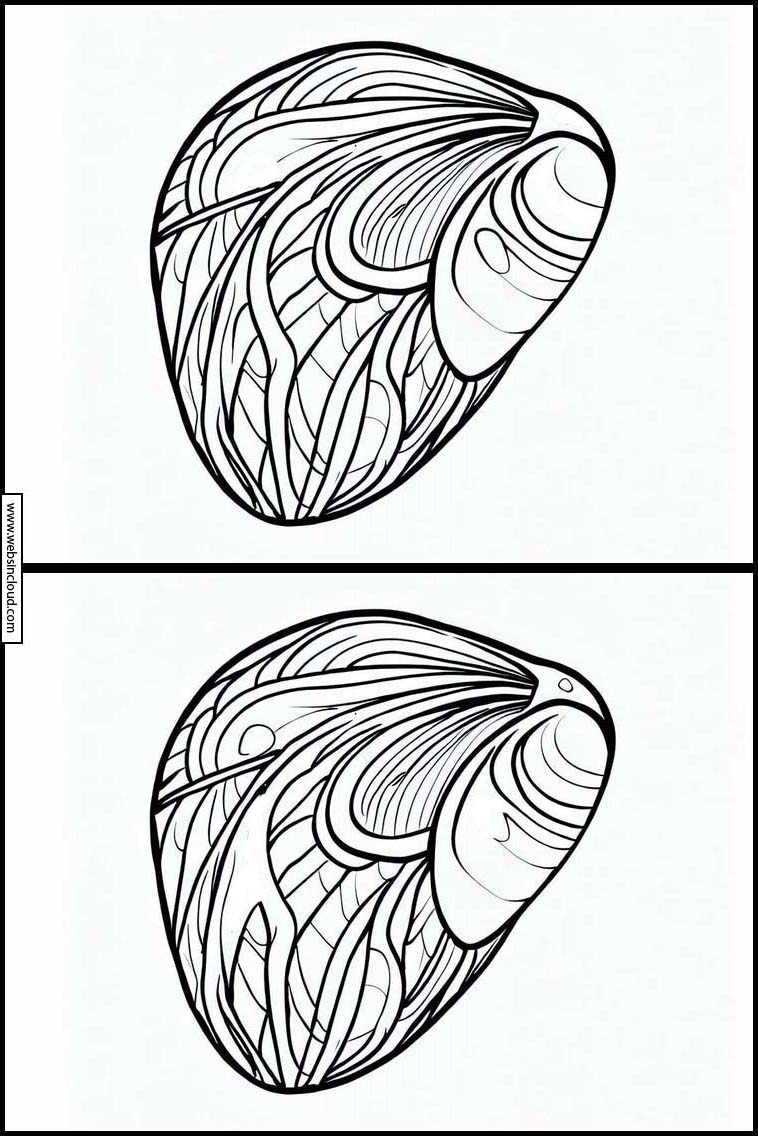 Mussels - Animals 2