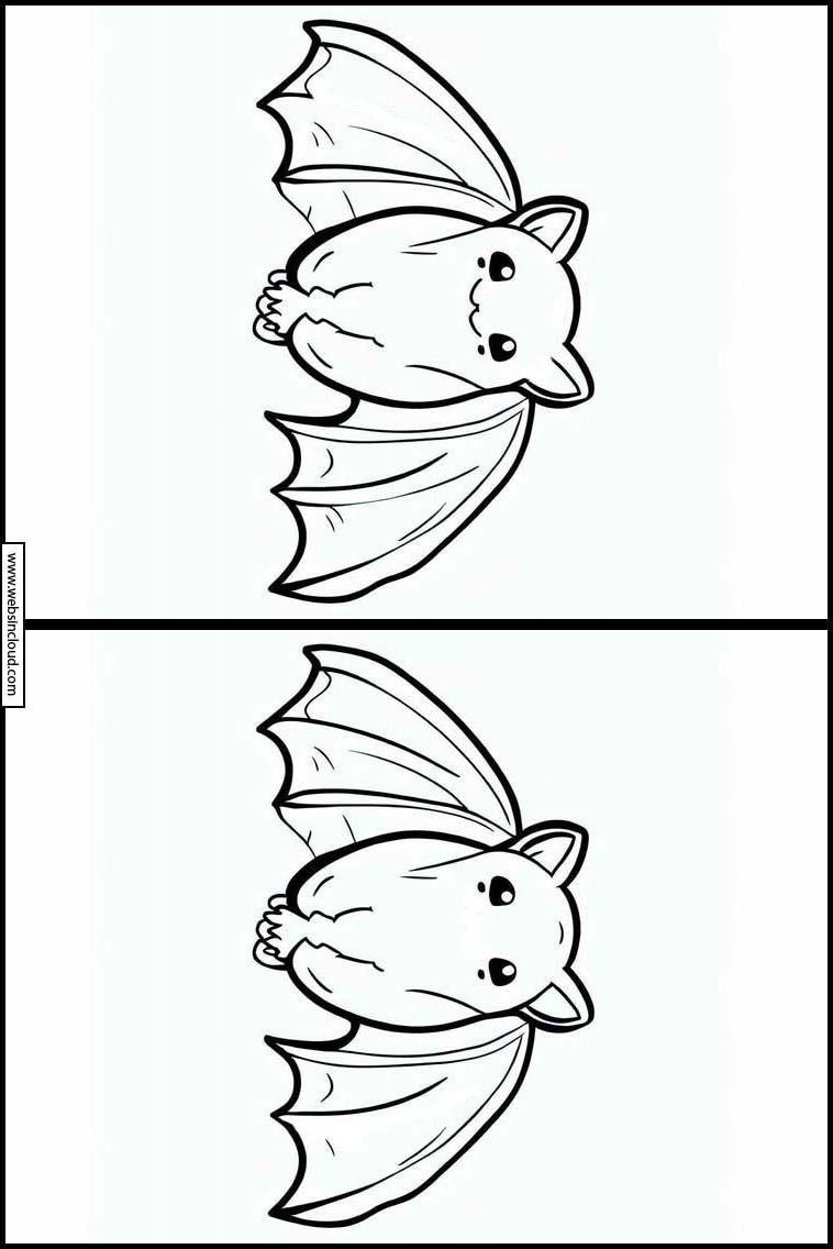 Morcegos - Animais 3