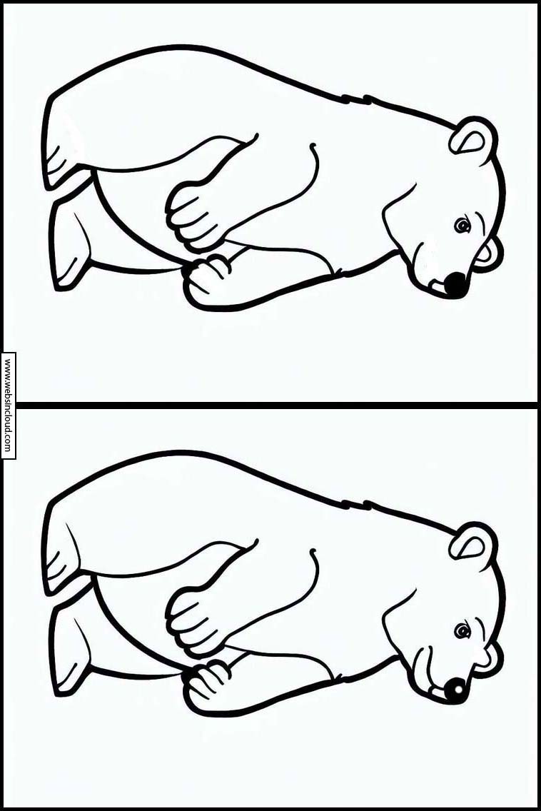 Polar Bears - Animals 3