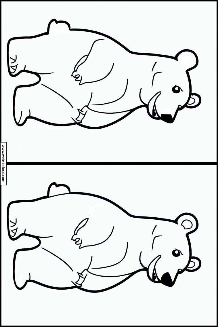 Isbjörnar - Djur 4