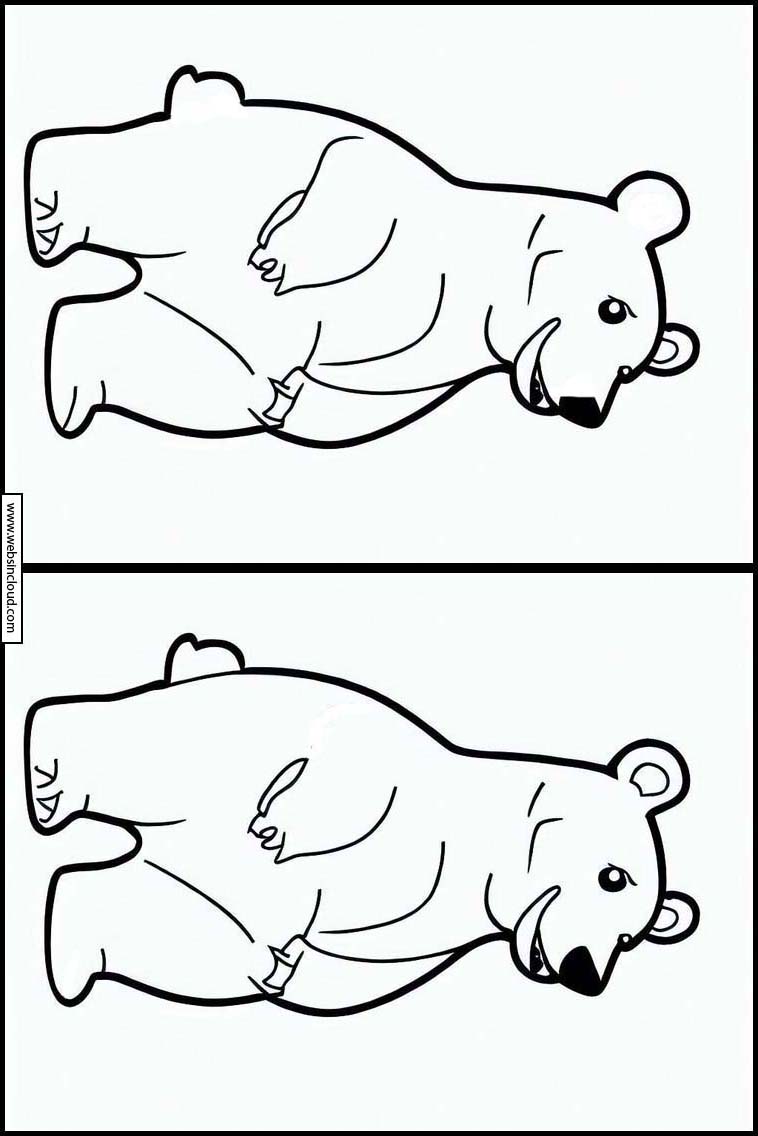 Polar Bears - Animals 4