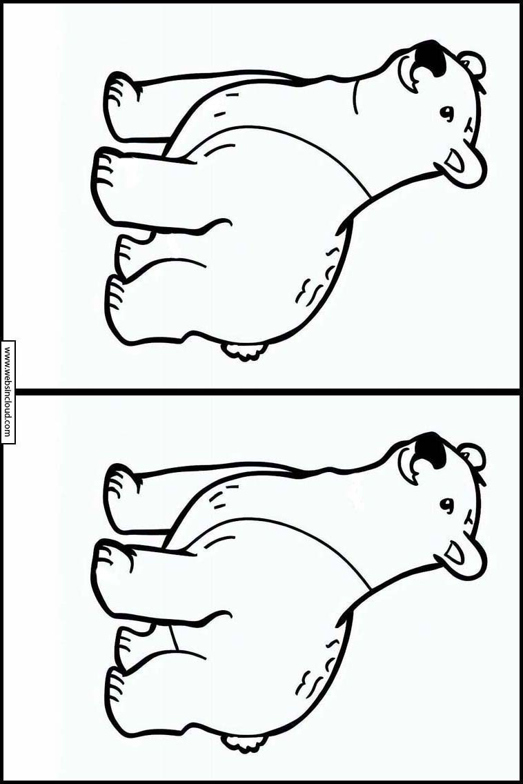 Polar Bears - Animals 5