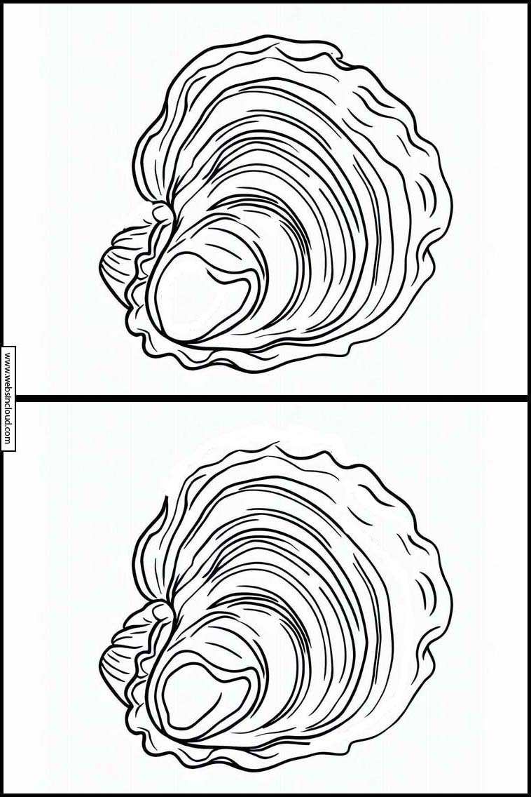 Oesters - Dieren 4