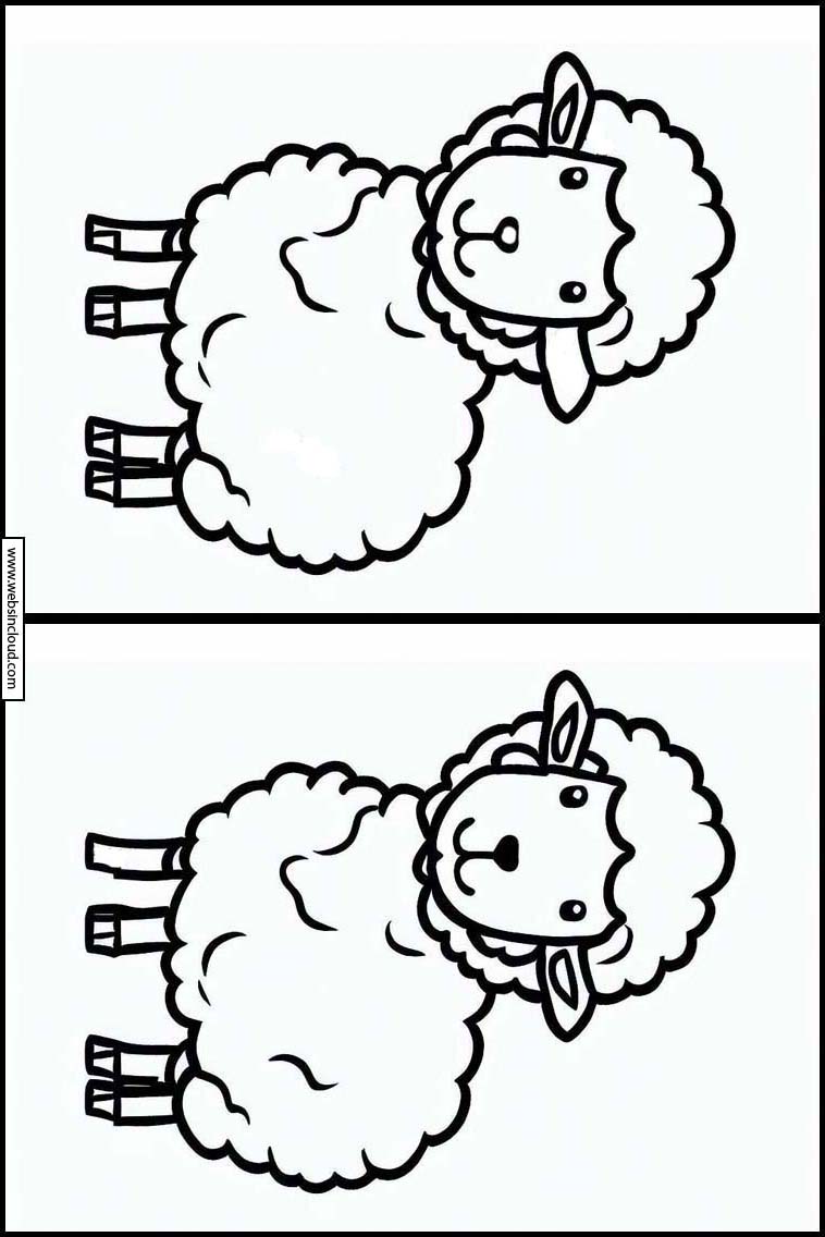 Moutons - Animaux 1